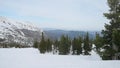 Landscape winter nature beautiful forest mountain area in slow moton. 1920x1080