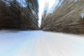 Landscape of winter pine forest covered with frost at sunny weather Royalty Free Stock Photo