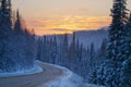 Landscape with a winter road and snow-covered fir trees in blue and a sunset sky in yellow-red Royalty Free Stock Photo