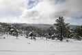 Landscape at winter, with snow