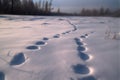 landscape winter snowdrifts path perspective snow footprints surface snowy smooth steps human traces Royalty Free Stock Photo