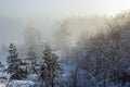 Landscape of a winter snowy forest. Pines, spruces, larches, conifers, deciduous trees in the snow make up the horizon, a white