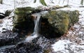 Landscape in Winter at the Stream Bohlenbach in the Forest Eckernworth in the Town Walsrode, Lower Saxony