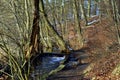 Landscape in Winter in the Valley of the River Fulde in the Town Walsrode, Lower Saxony