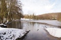 Landscape wintry, a forest with some snow Royalty Free Stock Photo