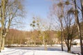 Landscape wintry - Snow and sun - France Royalty Free Stock Photo