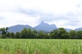 Landscape with volcano Mount Warning, New South Wales, Australia