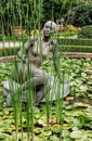 Landscape with woman sculpture in lily pond