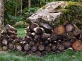 Landscape with wood logs cut for fireplace stacked in the forest