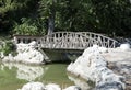 Landscape wooden bridge across the lake Royalty Free Stock Photo