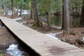 Landscape wooden path in the forest by the river in spring Royalty Free Stock Photo