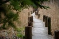 Landscape of wooden pathway along dried grass Royalty Free Stock Photo