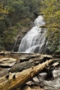 Landscape of wooden surface and Dukes Creek waterfalls in Georgia, vertical shot Royalty Free Stock Photo