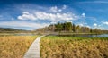 Landscape with a wooden walkway and bridge over the Olsina pond, Czech Republic Royalty Free Stock Photo