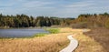 Landscape with a wooden walkway and bridge over the Olsina pond, Czech Republic Royalty Free Stock Photo