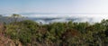 Landscape in Xishuangbanna Yunnan Royalty Free Stock Photo