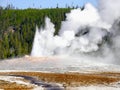 US National Parks, Yellowstone National Park Royalty Free Stock Photo