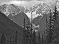 Landscape of Yoho National Park, Canada with snow capped mountains and forest on a rainy day