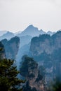 Landscape of Yuanjiajie, Zhangjiajie National Forest Park,