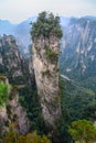 Landscape of of Zhangjiajie