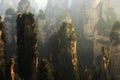 Landscape of ZhangjiaJie national geologic Park Royalty Free Stock Photo