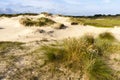 Landscape at the Zuidduinen Royalty Free Stock Photo