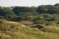 Landscape at the Zuidduinen Royalty Free Stock Photo