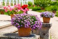 Landscaped flower garden Royalty Free Stock Photo