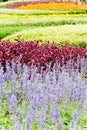 Landscaped flower garden