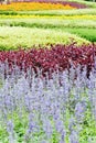 Landscaped flower garden