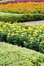 Landscaped flower garden