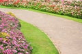 Landscaped garden background , concrete walkway , green grass and colorful ornamental flowers blooming