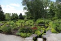 A landscaped garden filled with plants, ferns, flowers and lined with Birch and Evergreen trees in Hales Corners