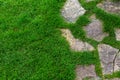 Landscaped garden path made of natural rough stone overgrown with grass. Royalty Free Stock Photo