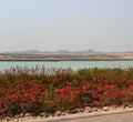 Landscaped garden, sea channel, hills, Anantara Hotel Resort, Sir Baniyas Island