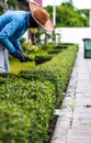 Landscaped Garden Workers Royalty Free Stock Photo