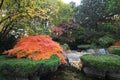 Landscaped Japanese garden Royalty Free Stock Photo