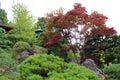 A landscaped Japanese garden with a glimpse of a pagoda and a Japanese stone lantern in California Royalty Free Stock Photo