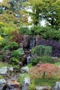 A landscaped Japanese garden with a waterfall and various tress, shrubs, grasses and ferns at the Japanese Tea Garden Royalty Free Stock Photo