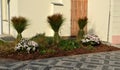 landscaped, ornamental grass tied bundle.protection against snow and rain that