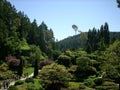 Landscaped park in forest