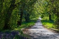 Landscaped park. Royalty Free Stock Photo