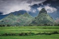 Landscaped Scenery View of Agriculture Rice Fields, Nature Landscape of Rice Terrace Field at Sapa, Vietnam. Panorama Countryside Royalty Free Stock Photo