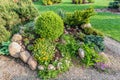 Landscaped summer garden with green plants, rocks, flowers in flowerbeds, mown grass. Royalty Free Stock Photo