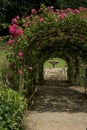 Landscaped traditional English garden with summer flowers