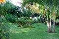 Landscaped tropical garden