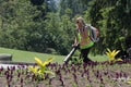 Landscaper Operating Leaf Blower Royalty Free Stock Photo