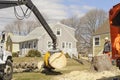 Landscaper oversees tree trunk removal