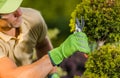 Landscaper Pruning Shrubs