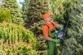Landscaper Shaping Trees Using Hedge Trimmer
